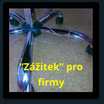 Zitek pro firmy