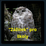 Zitek pro koly