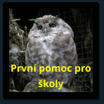 Prvn pomoc pro koly